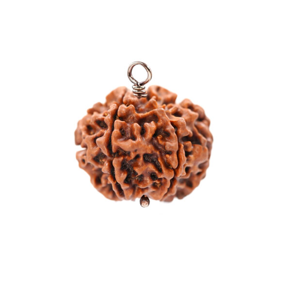 7mukhi rudrakasha Copper3