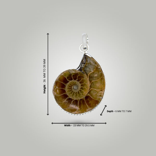 AMMONITE FOSSIL STONE LOCKET