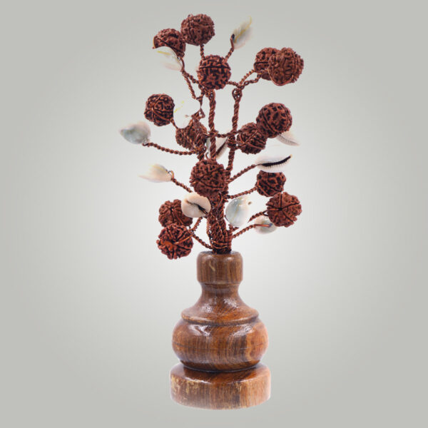 5 Mukhi Rudraksha tree