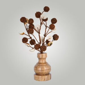 Rudraksha Tree