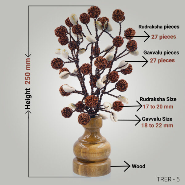 5 Mukhi Rudraksha tree