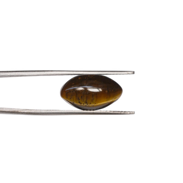 Natural tiger eye