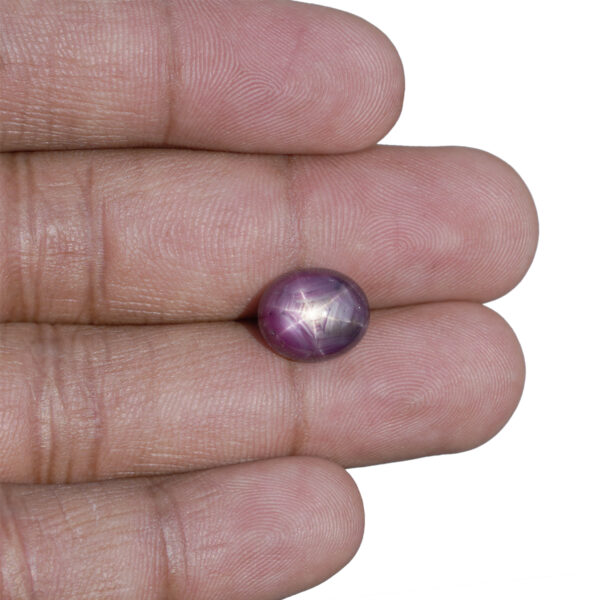 Natural Star Ruby