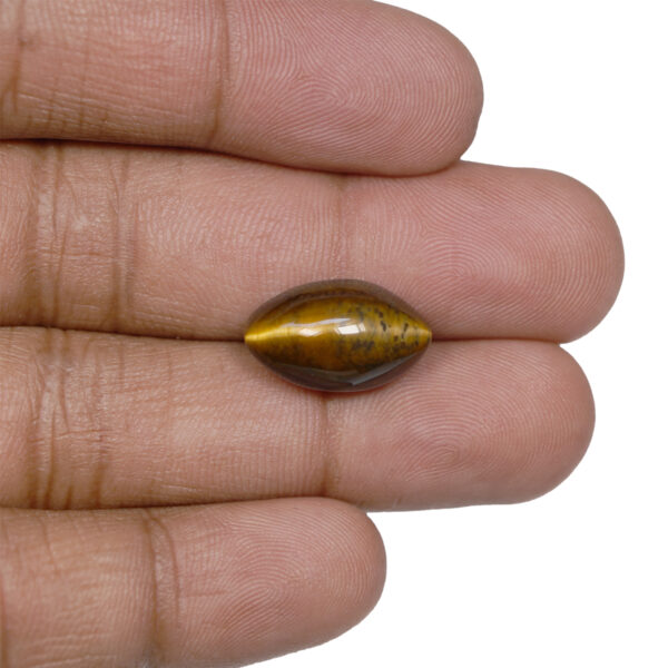 Natural tiger eye