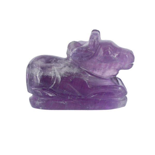 Amethyst Nandi