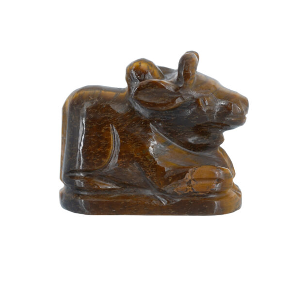 Tiger's eye nandi