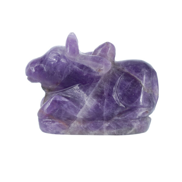 Amethyst Nandi