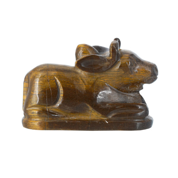 Tiger's eye nandi