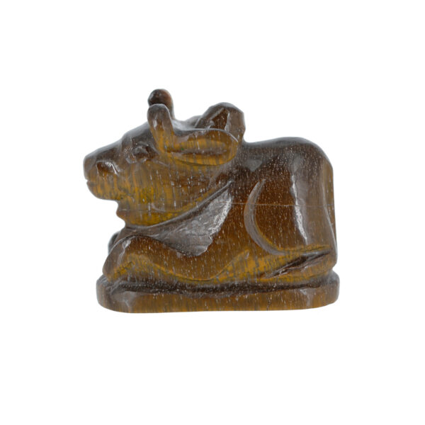 Tiger's eye nandi