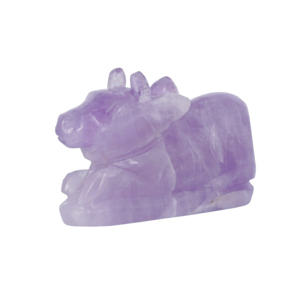 Amethyst Nandi