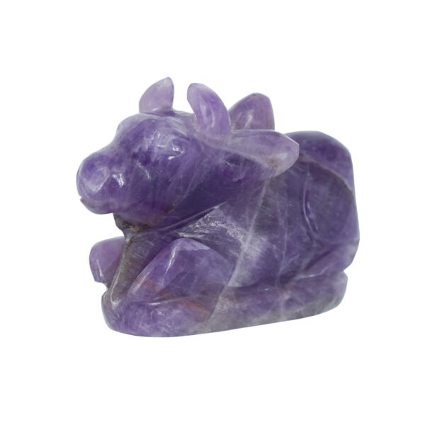 Amethyst Nandi