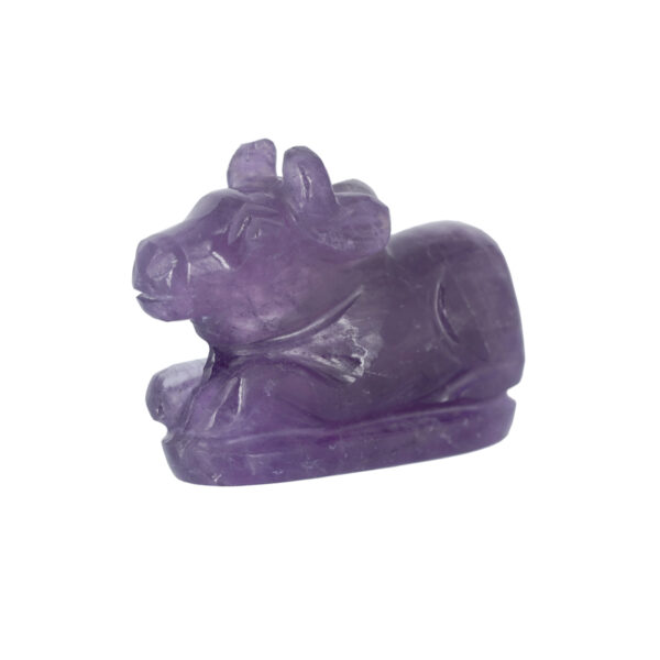 Amethyst Nandi