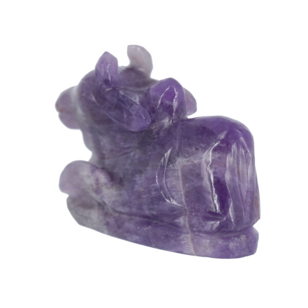 Amethyst Nandi