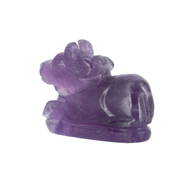 Amethyst Nandi