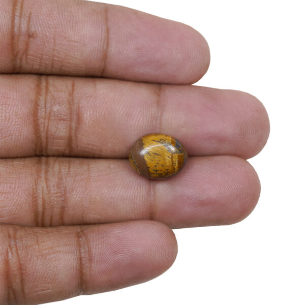 Tiger eye gemstone