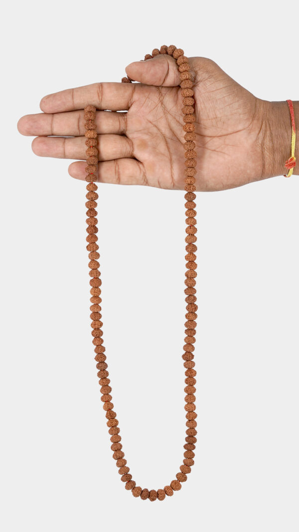 10 Mukhi Rudraksha Mala-6mm