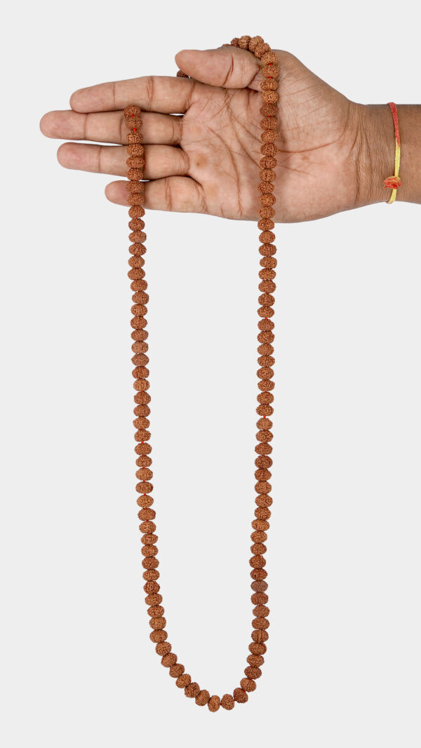 8 Mukhi Rudraksha Mala