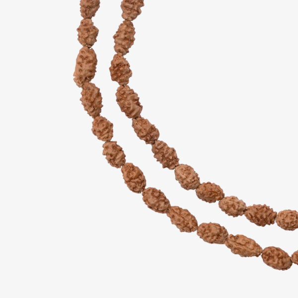 2 Mukhi Rudraksha Mala