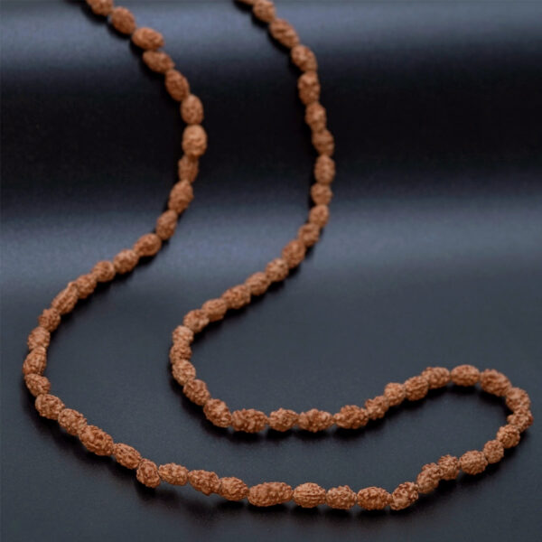 2 Mukhi Rudraksha Mala