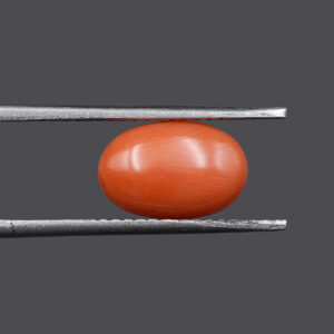 Natural Japan Coral 1.65 Ct
